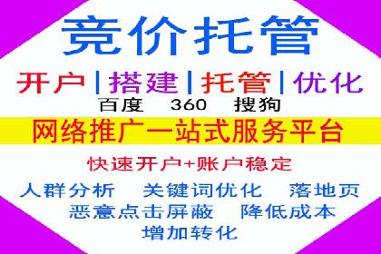 某品牌SEM广告策略揭秘——代运营公司的智慧